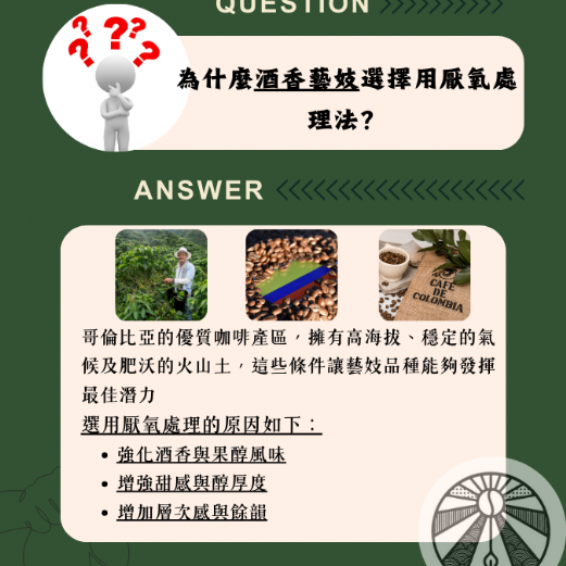 哥倫比亞 酒香藝妓 希望莊園